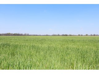Property photo 33 - OKLAHOMA LAND AUCTION, 550+/- Acres offered in 7 Tracts